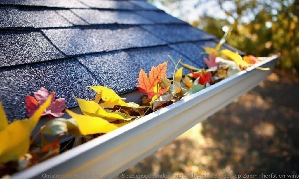 Seizoensgebonden rioolproblemen Bergen op Zoom: herfst & winter