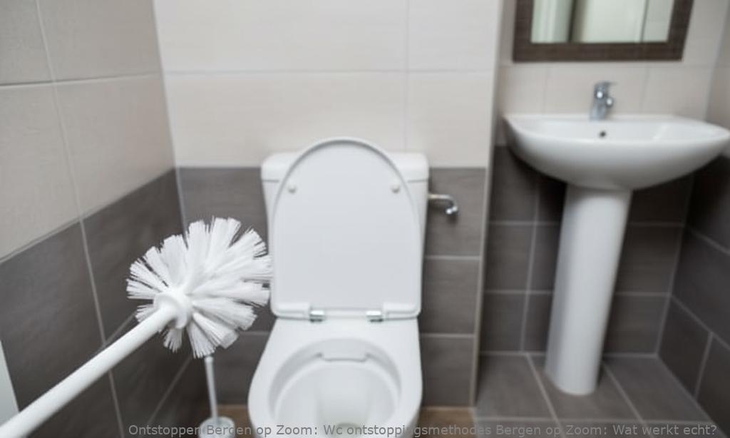 Wc ontstoppingsmethodes Bergen op Zoom: Wat werkt echt?